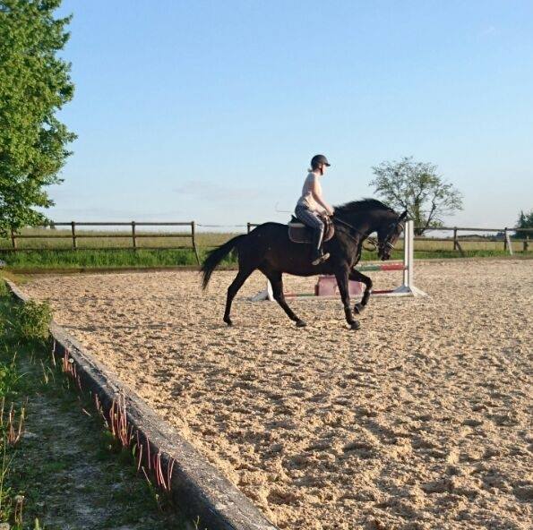 CENV_dressage_Laure_Ax