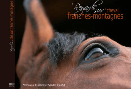 capture-decran-2017-01-09-a-11-12-37