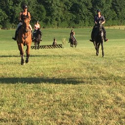 Galopade au Polo club à Mies – 29.07.2020